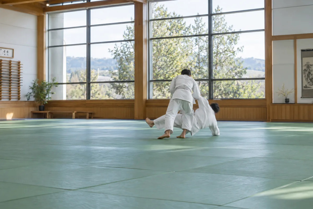Deux judokas vus de loin et de dos pendant une projection sur un tatami de dojo